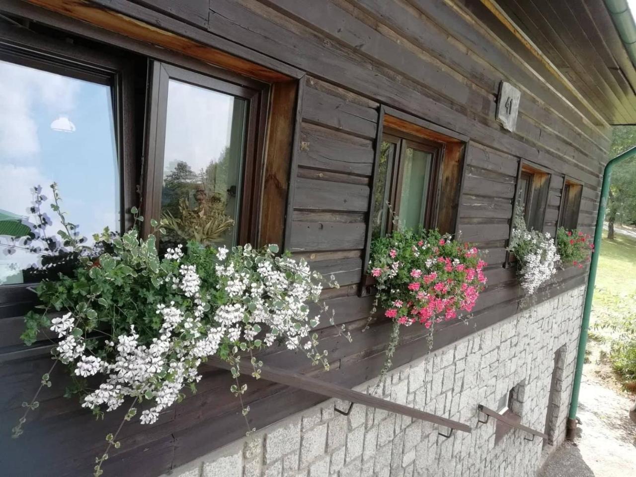 Penzion Pohlednicka Hotel Benecko Kültér fotó
